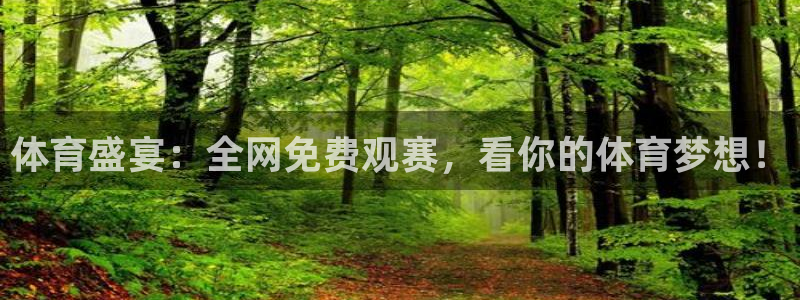 体育盛宴：全网免费观赛，看你的体育梦想！