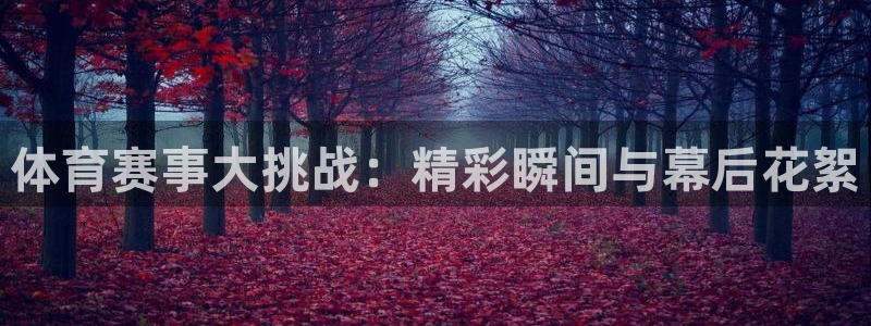 中超乐视直播