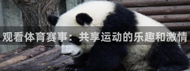 乐视官网
