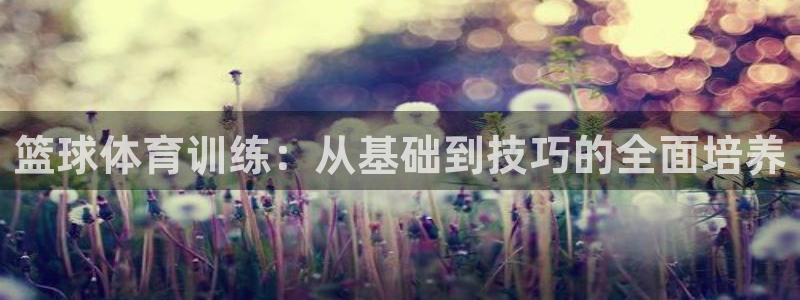 乐视app怎么投屏：篮球体育训练：从基础