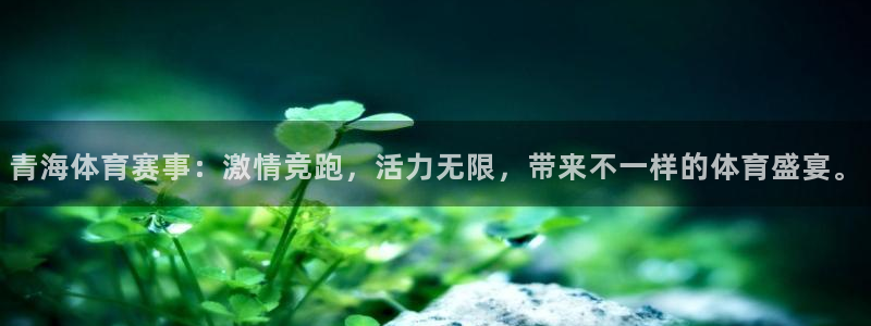 乐视钢琴app：青海体育赛事：激情竞跑，