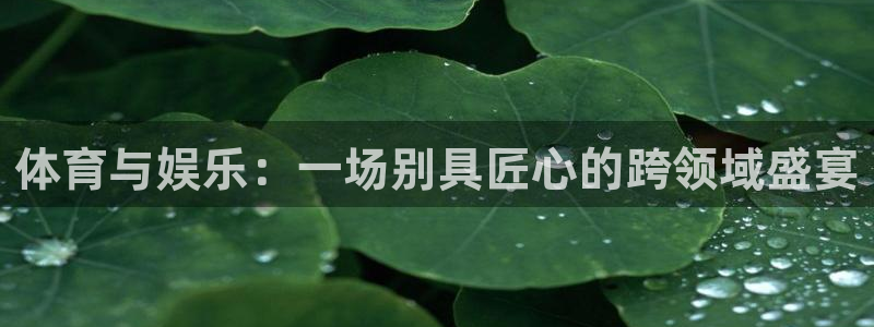 中超乐视直播：体育与娱乐：一场别具匠心的