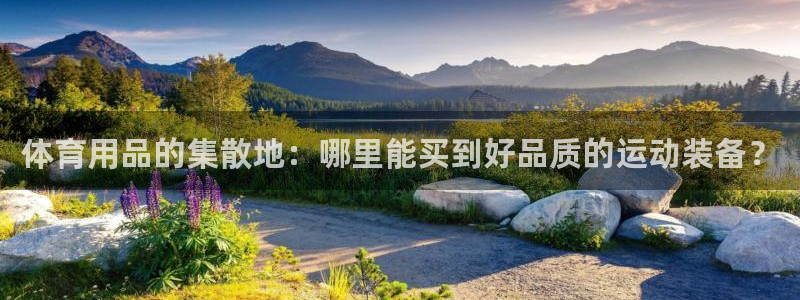 乐视网tv下载app