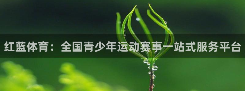 乐视1s行车记录仪app下载4.0.1：